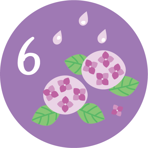 6月